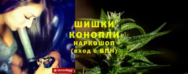 стафф Медвежьегорск