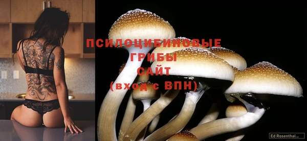 PSILOCYBIN Зеленокумск