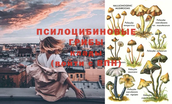 стаф Мегион
