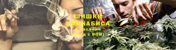 стаф Мегион