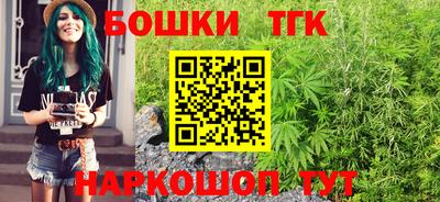 индика Гусиноозёрск