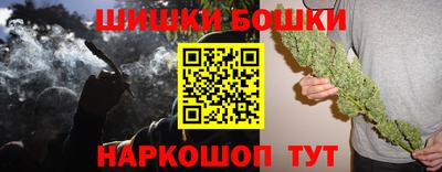 индика Гусиноозёрск