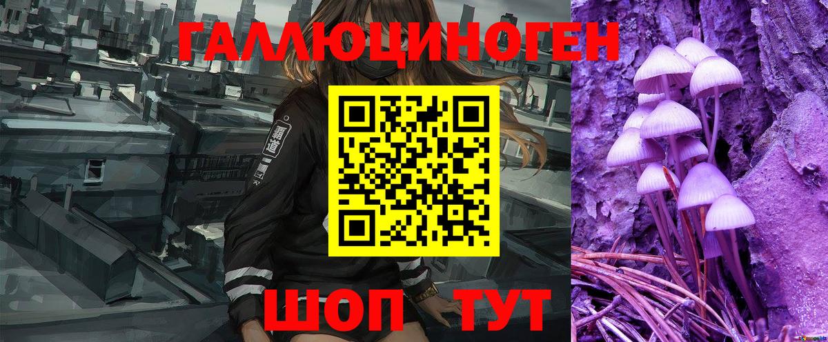 Алапаевск  Псилоцибиновые грибы Psilocybe  Вход с VPN 