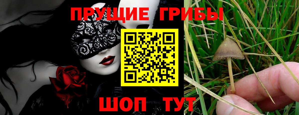Псилоцибиновые грибы ЛСД Алапаевск
